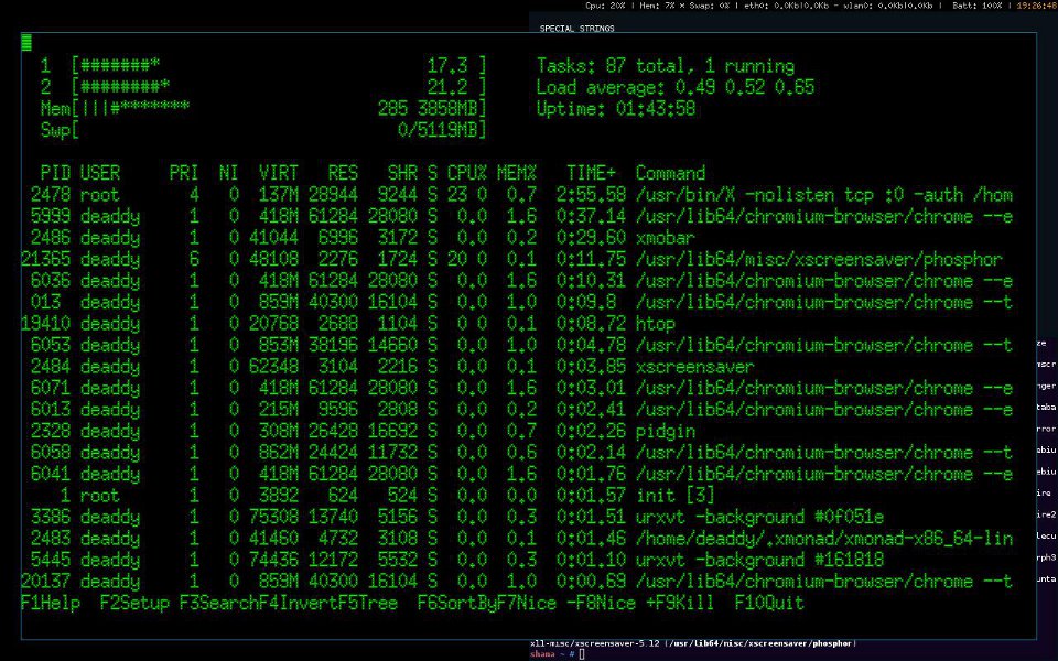 htop displayed in phosphor